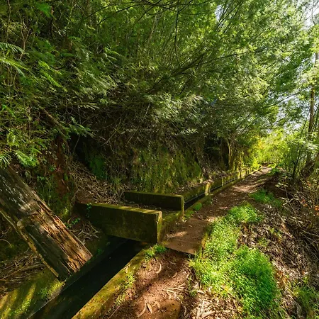 شقة Santiago Alpine Escape *