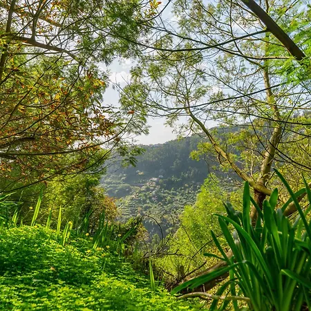 Santiago Alpine Escape